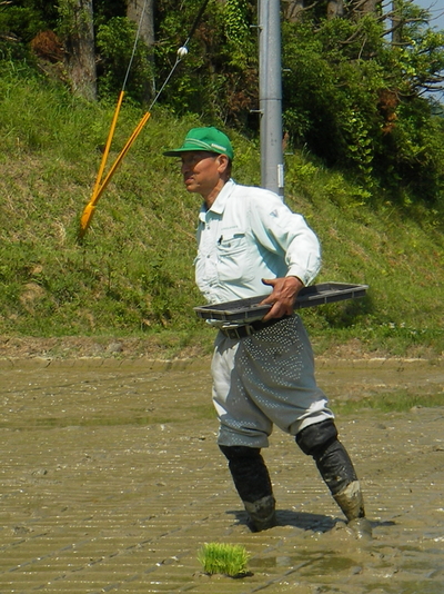 米江さん