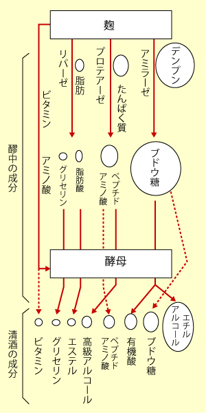 酒造り〜日本酒ができるまで〜