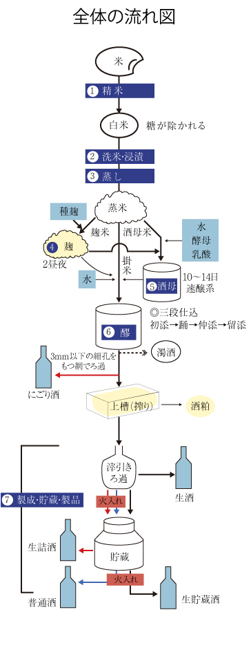 *日本酒の製造工程図2